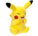 М'яка іграшка Покемон Пікачу 20 см Pokemon Pikachu BOTI плюшева іграшка PKW3080 PKW3080 фото 3