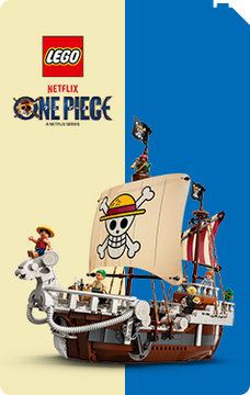 LEGO ONE PIECE