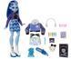 Лялька Монстр Хай Еббі Бомінейбл Щоденник Жахів Monster High Abbey Bominable JDR58 Mattel JDR58 фото 6