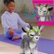 Інтерактивна іграшка ФурРіал Йога Кізочка Коза Дейзі Hasbro FurReal Daisy 28104 28104 фото 6