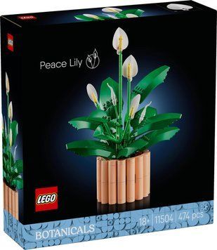 Конструктор Лего Букет квітів Ботанікал Cпатифілум Lego Botanicals 11504 11504 фото