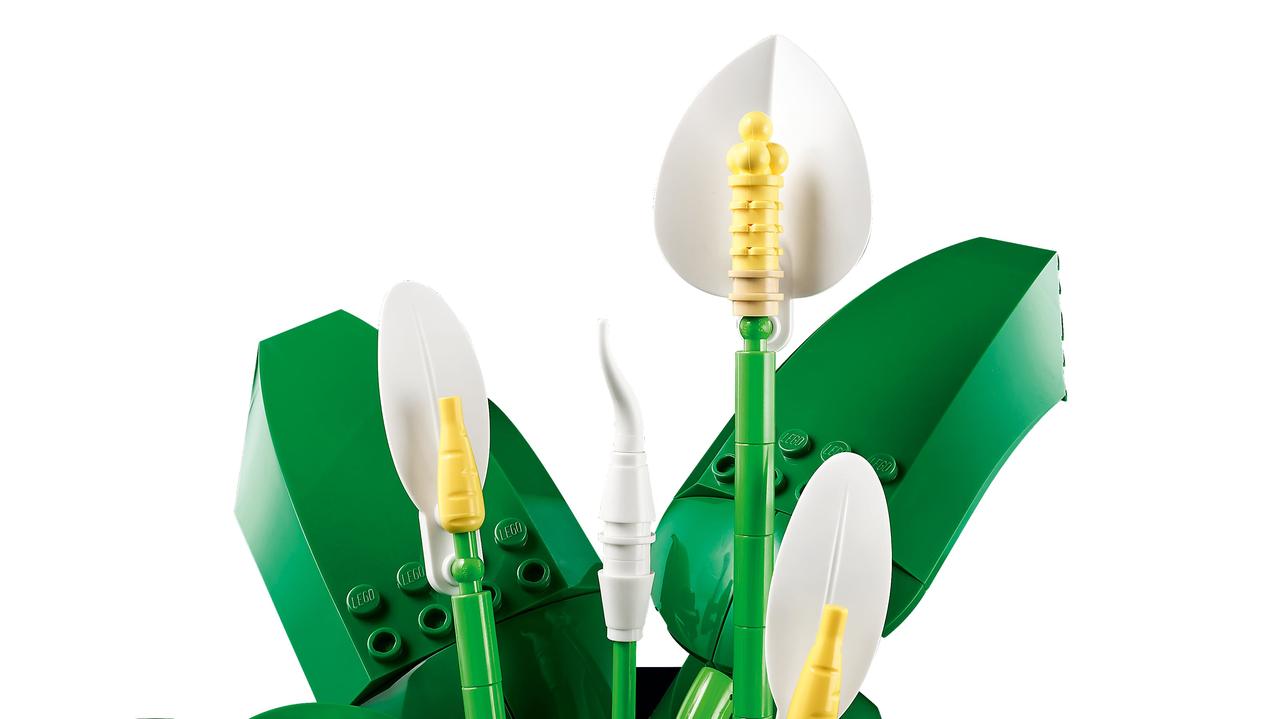 7055632344_konstruktor-lego-botanikal
