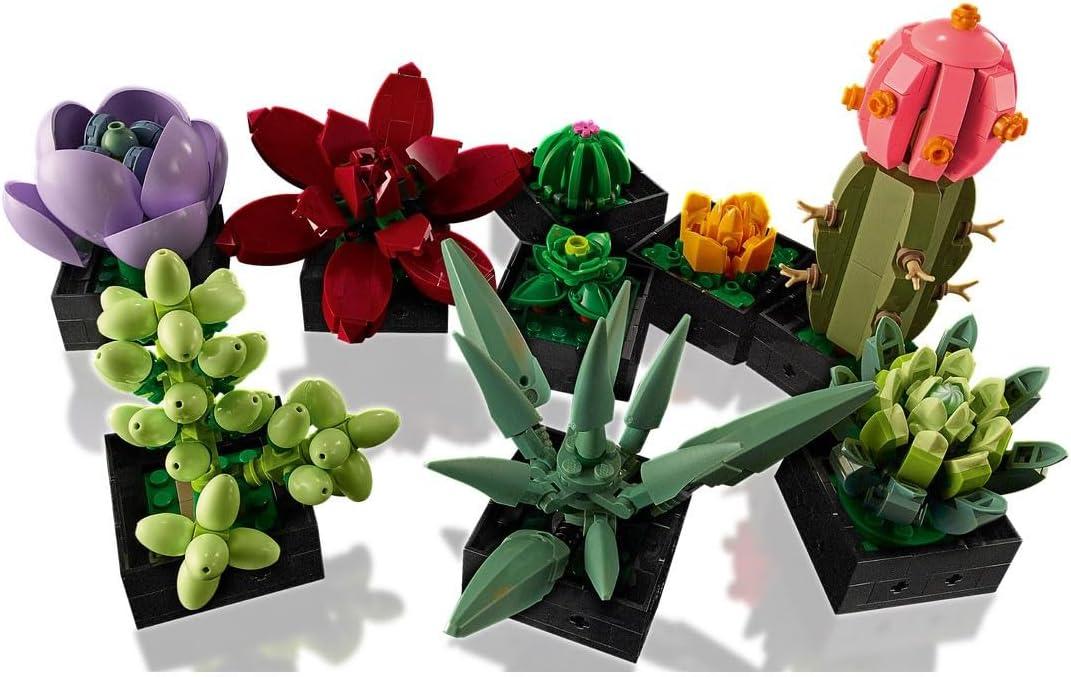 7142952234_konstruktor-lego-sukulenti