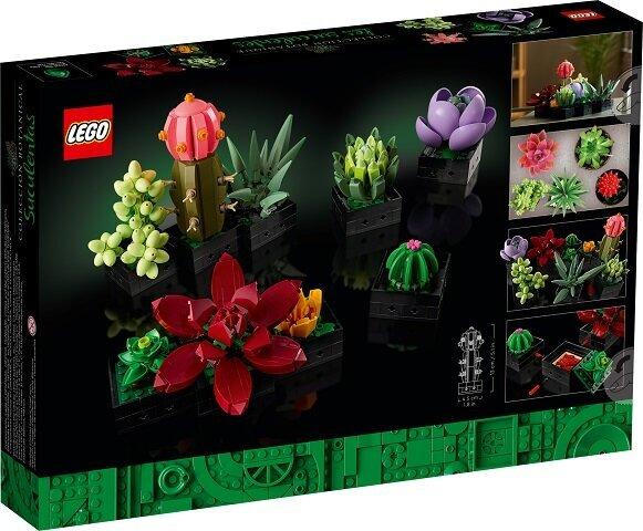 7142958338_konstruktor-lego-sukulenti